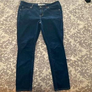 Torrid Dark Wash Skinny Jean